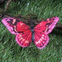 BUTTERFLY 3.5" 6 ASST'D W/CLIP