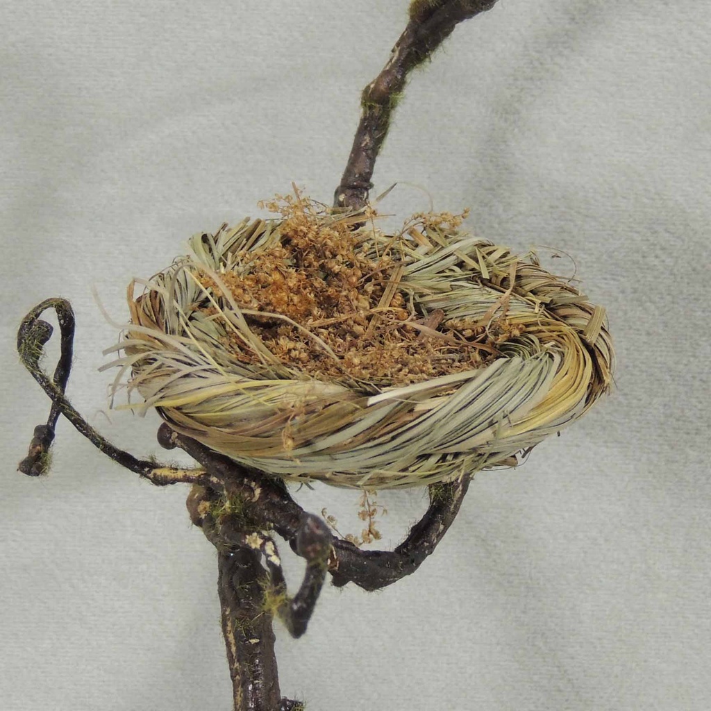 NEST 3.15" (12/BAG) NATURAL