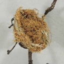 NEST 4" (12/BAG) NATURAL    