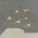 BIRD 1.25" MUSHROOM W/WIRE 24/BOX 6-ASST