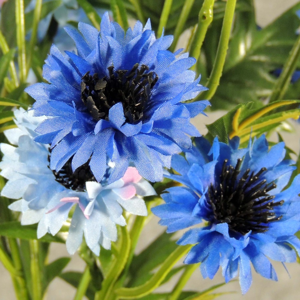 CORNFLOWER BUSH X7  19"