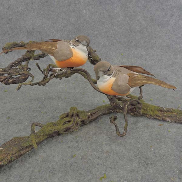 ROBIN 4" MUSH/FEA W/CLIP (R&L)