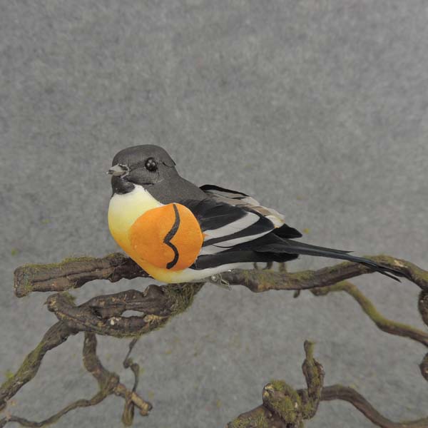 BALTIMORE ORIOLE 4" FEA/MUSH    W/CLIP