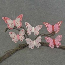 BUTTERFLY 6-ASST 3.5&quot;&amp; 4&quot; CLIP FEATHER/HEARTS
