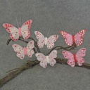 BUTTERFLY 6-ASST 3.5"& 4" CLIP FEATHER/HEARTS