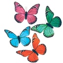 5" PRINTED BUTTERFLY 4 ASSORTED (8 PER BOX) MONARCH MIX