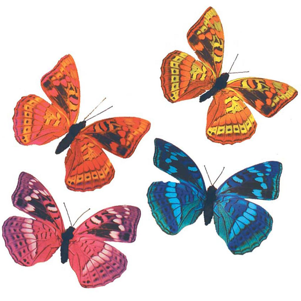 3.25" PRINTED BUTTERFLY 4 ASSORTED (8 PER BOX)