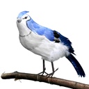 19" FEATHER STANDING BLUE JAY
