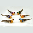 BIRD 4.5" MUSHROOM/FEATHER 6-ASST W/CLIP