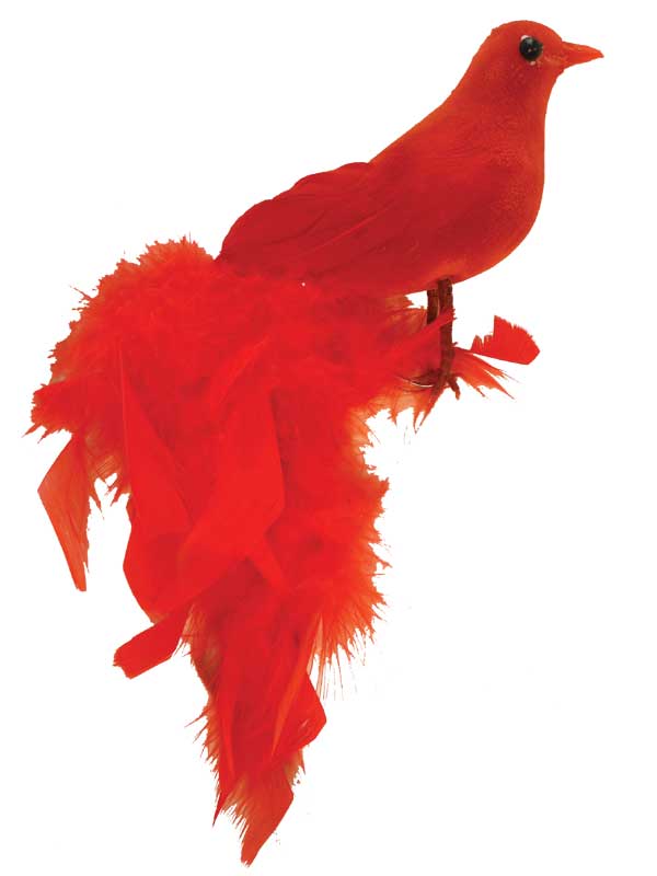 11"FEA/FLOCKED LONG TAIL BIRD (6PC/BX)  RED
