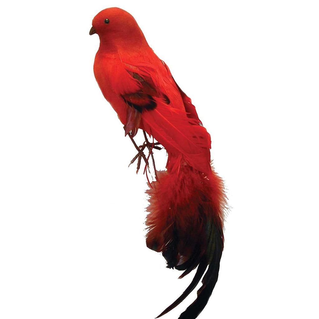 14" FEA/FLOCKED LONG TAIL BIRD  RED