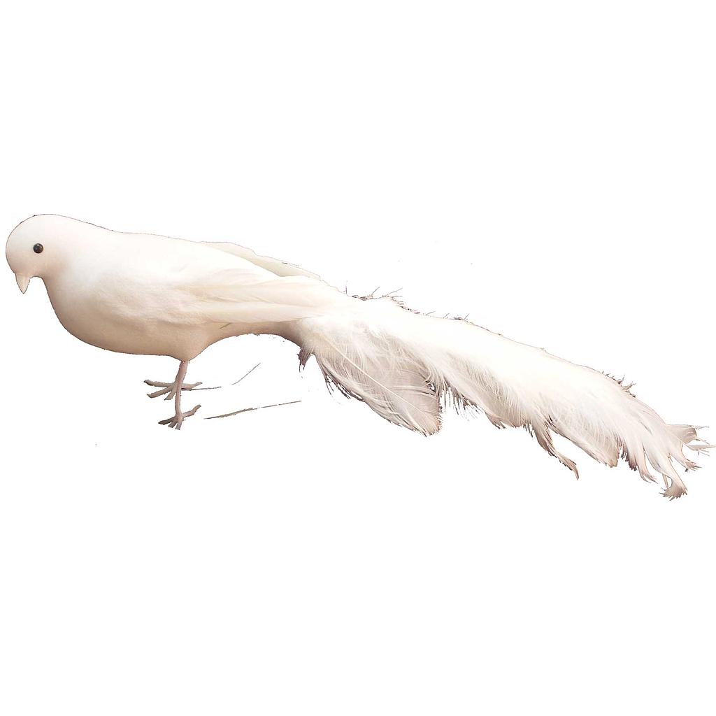 14" FEA/FLOCKED LONG TAIL BIRD  WHITE