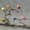 BIRD MUSHROOM/FEATHER 4.5" 6-AST