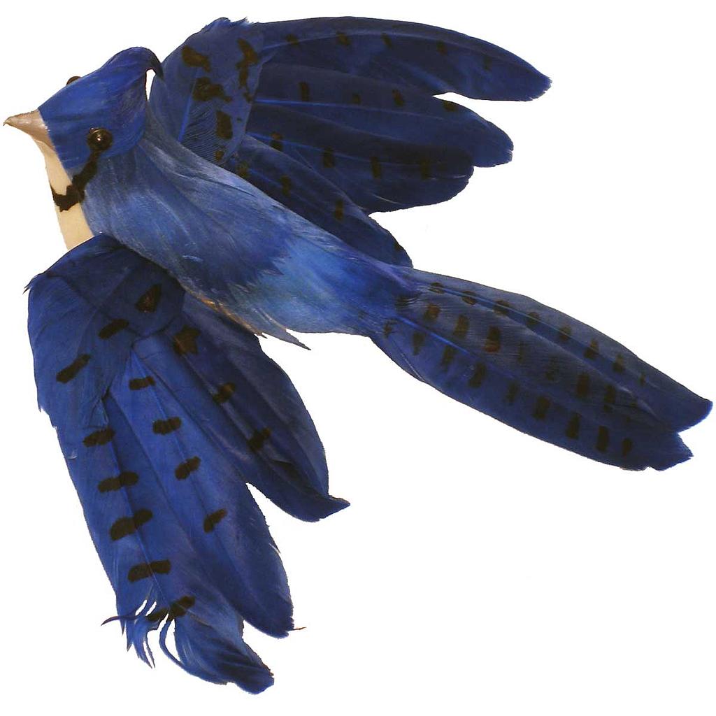 BLUE JAY 5" FLYING FEATHERED