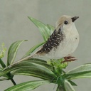 BIRD 4" NATURAL FEATHER W/WIRE