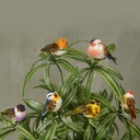 3" FEA/MUSHROOM BIRD W/FEET 6 ASST W/WIRE
