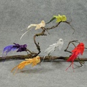 BIRD 7" FEATHER/VELVET W/GLITER 6-ASST W/CLP