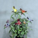 FLYING MUSHROOM/FEATHER BIRD 3" 6-ASST   w/clip