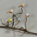 BIRD 3" MUSHROM/FEATHER 6-ASST W/CLIP