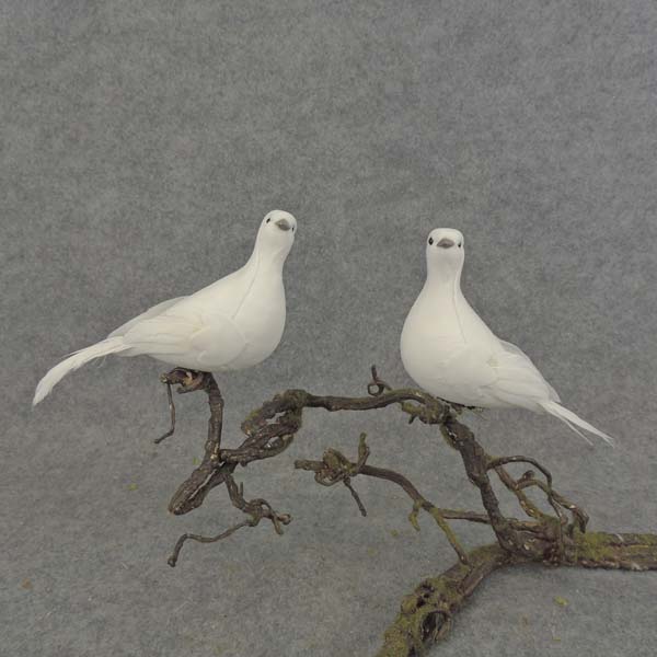 PIGEON 6" MUSH/FEA WHITE CLIP 2 STYLES R&L