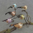 4" BIRD MUSH/FEA W/CLIP 6-ASST