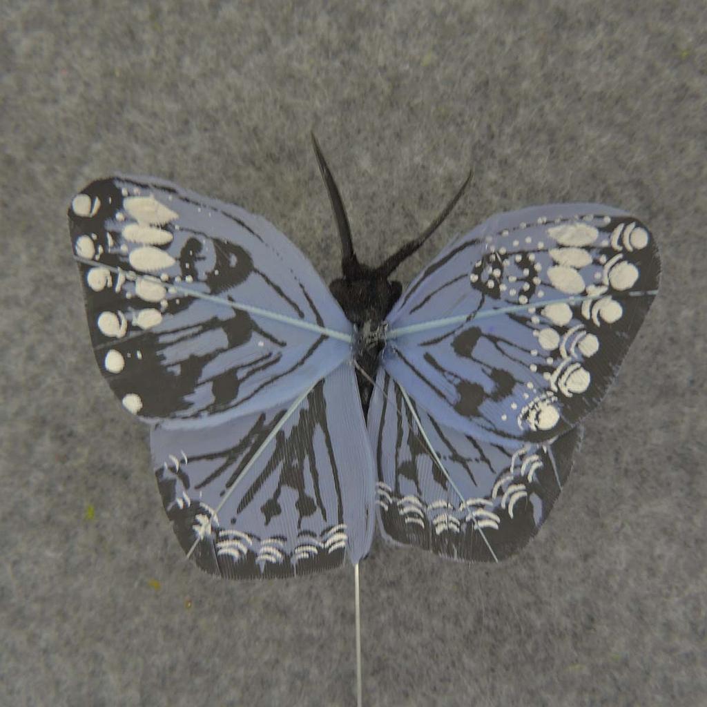 2.5" FEATHER BUTTERFLY  LIGHT BLUE