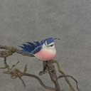 3.5" BLUE JAY W/CLIP MUSH/FEA