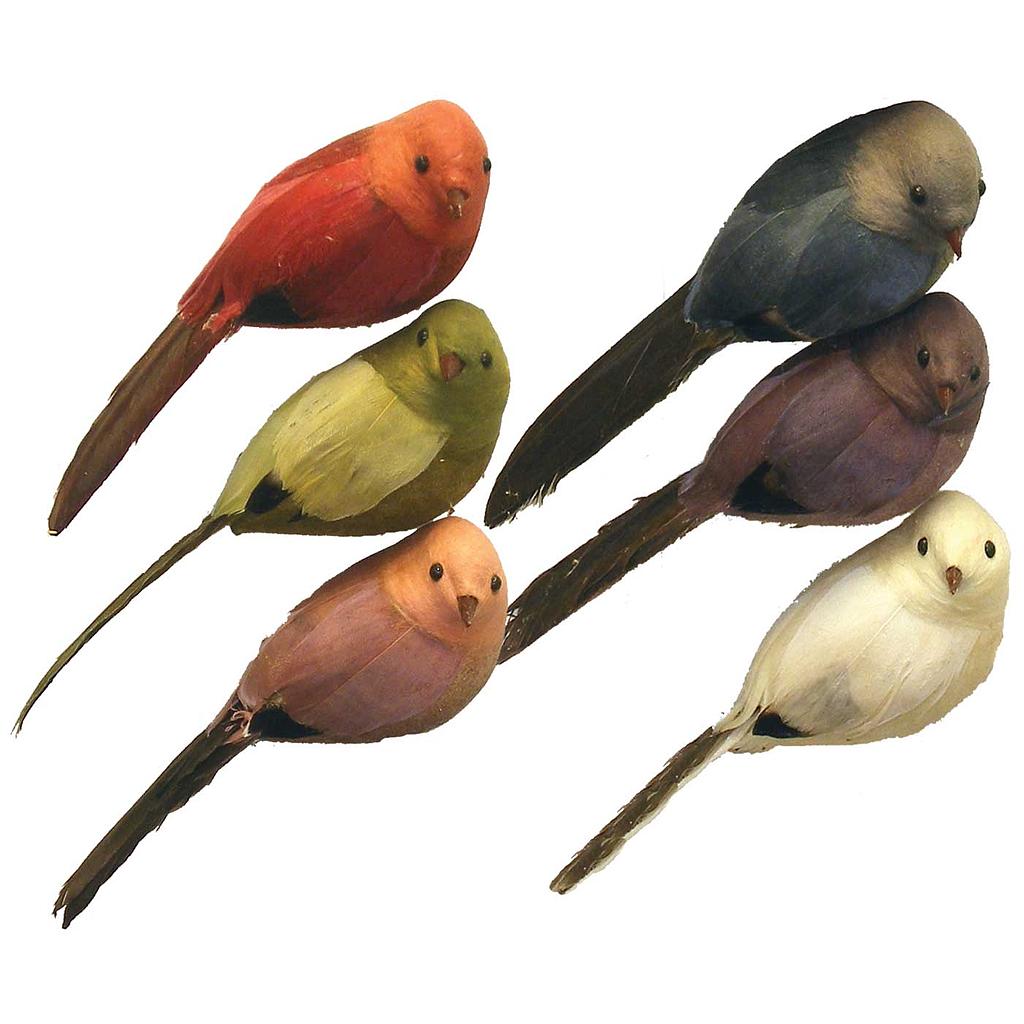 [B970018] 6" MOCKING BIRD 6-ASSORTED