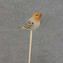 4" FINCH PICK WOOD GREY/GOLD 7.5" PICK