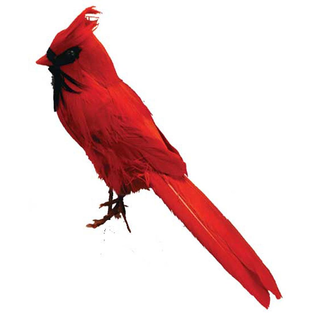 6.5&quot; FEATHERED SITTING CARDINAL