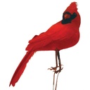 6" FLOCKED CARDINAL WITH FEATHERS