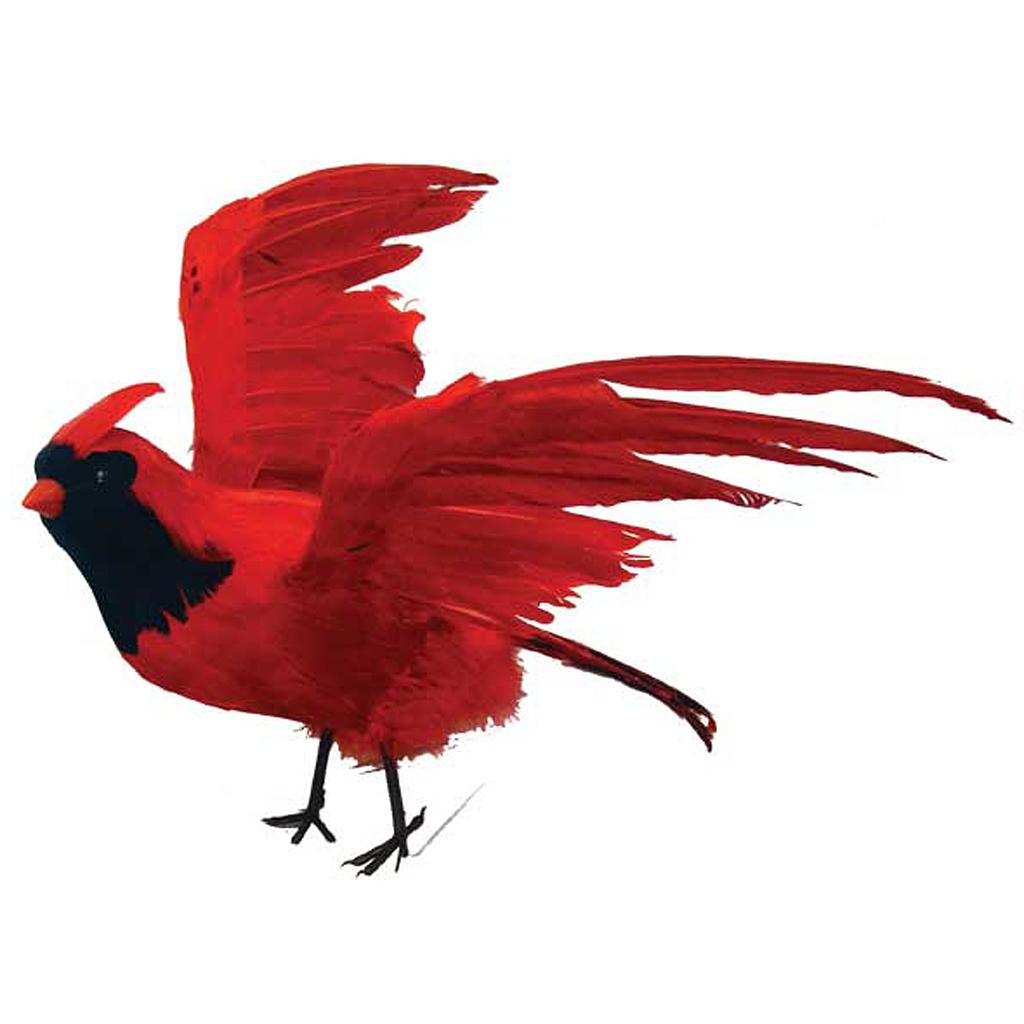19" X 34" FLYING FEATHER CARDINAL