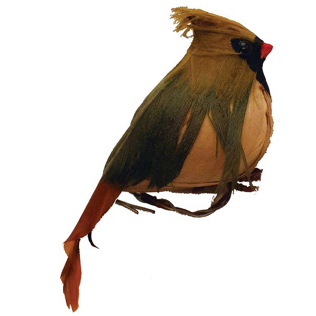 2.5&quot; FAT SITTING FEMALE CARDINAL WITH FEATHERS