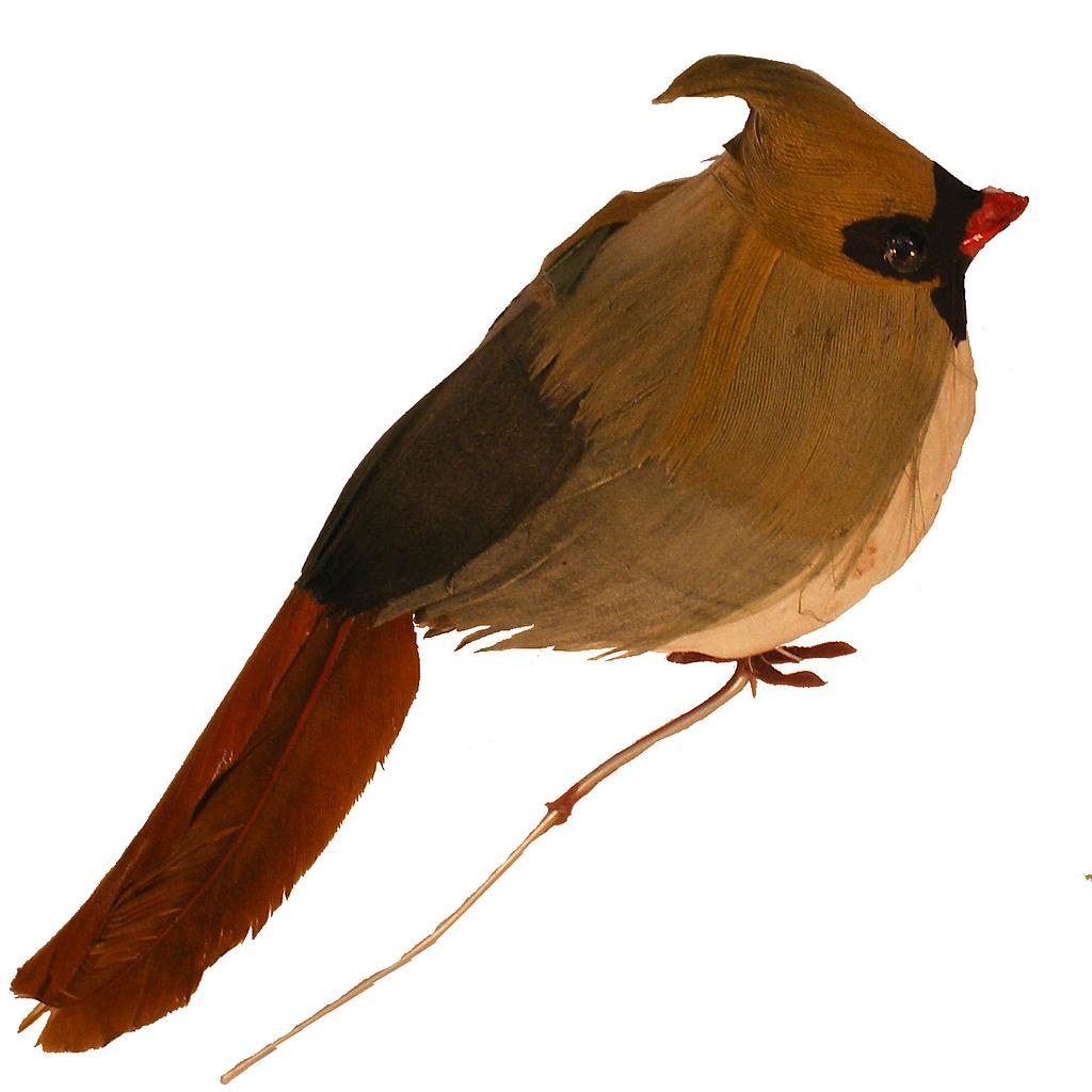 3.5" FAT SITTING FEMALE CARDINAL WITH FEATHERS  