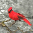 5.5" MUSHROOM CARDINAL W/CLIP (3 STYLES)