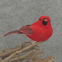 3.25" CARDINAL MUSHRM/FEA W/CLIP