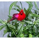 3.5" CARDINAL MSHRM/FEA W/FEET W/WIRE