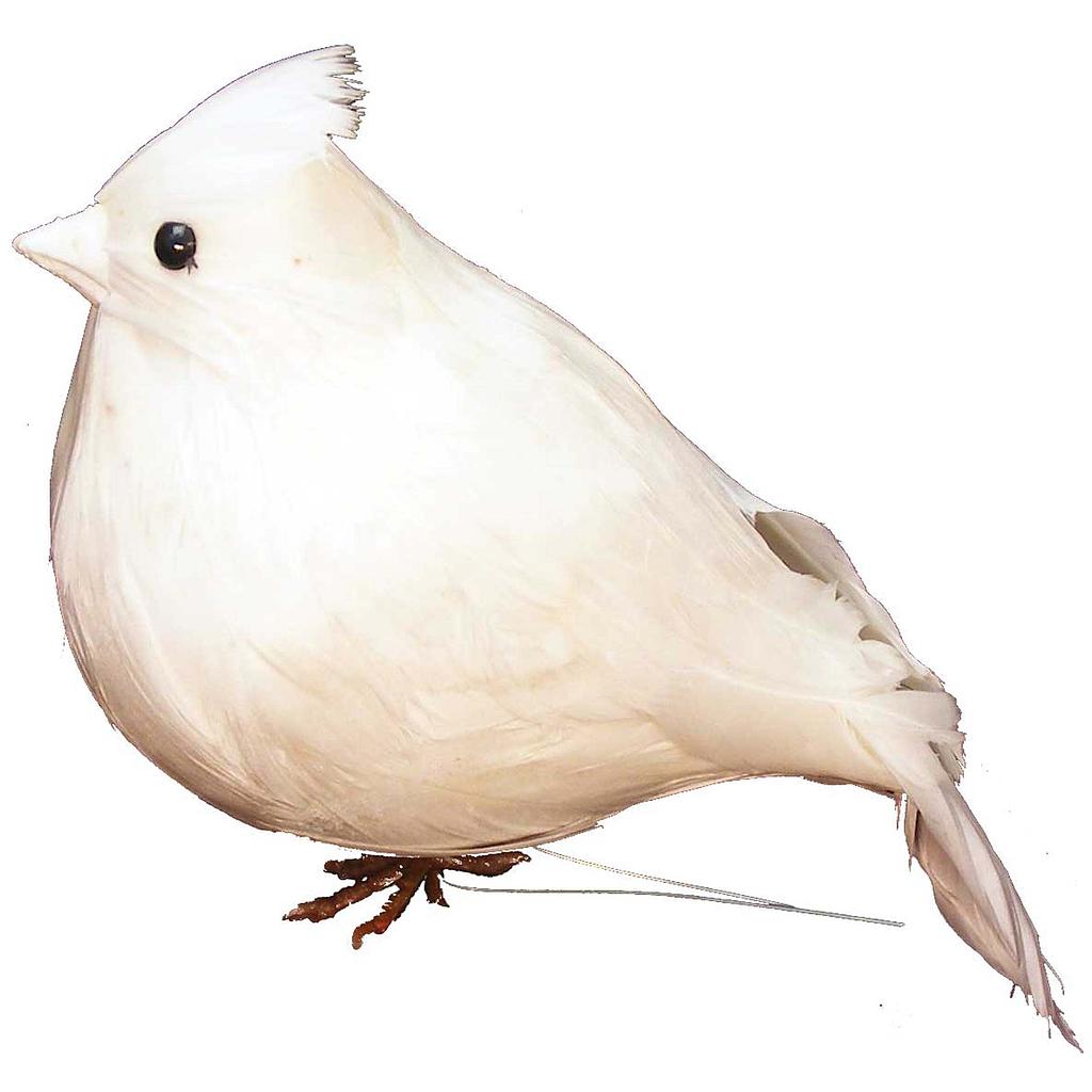 WHITE CARDINAL 7" FAT FEATHERED SITTING