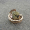 1.5" CARDINAL FE W/FROST 2 DZ BX NEST & EGGS