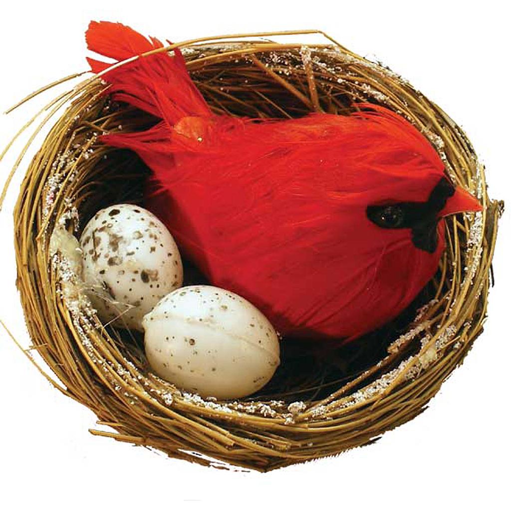 CARDINAL 3.5" MALE W/FROSTED NEST & EGGS  (INDIVIDUAL)
