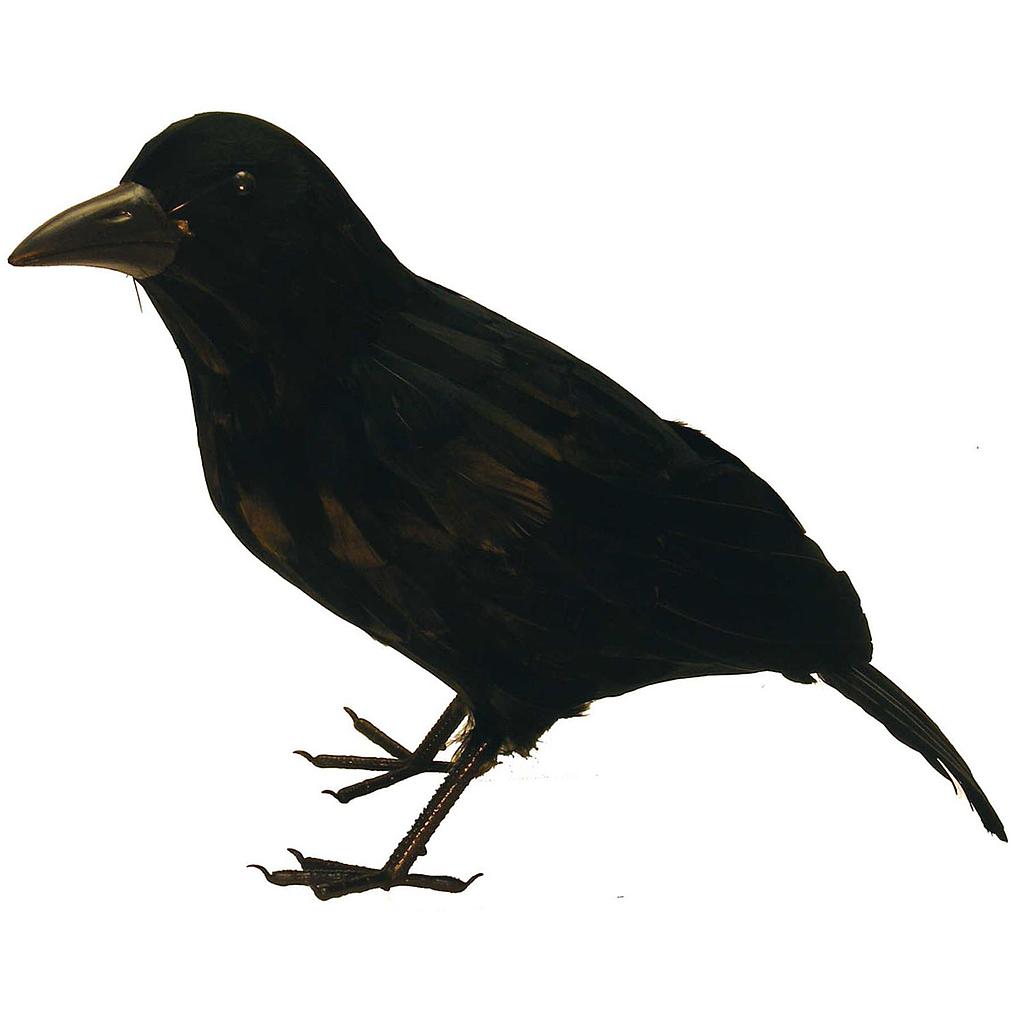 18&quot; CROW WITH FEET