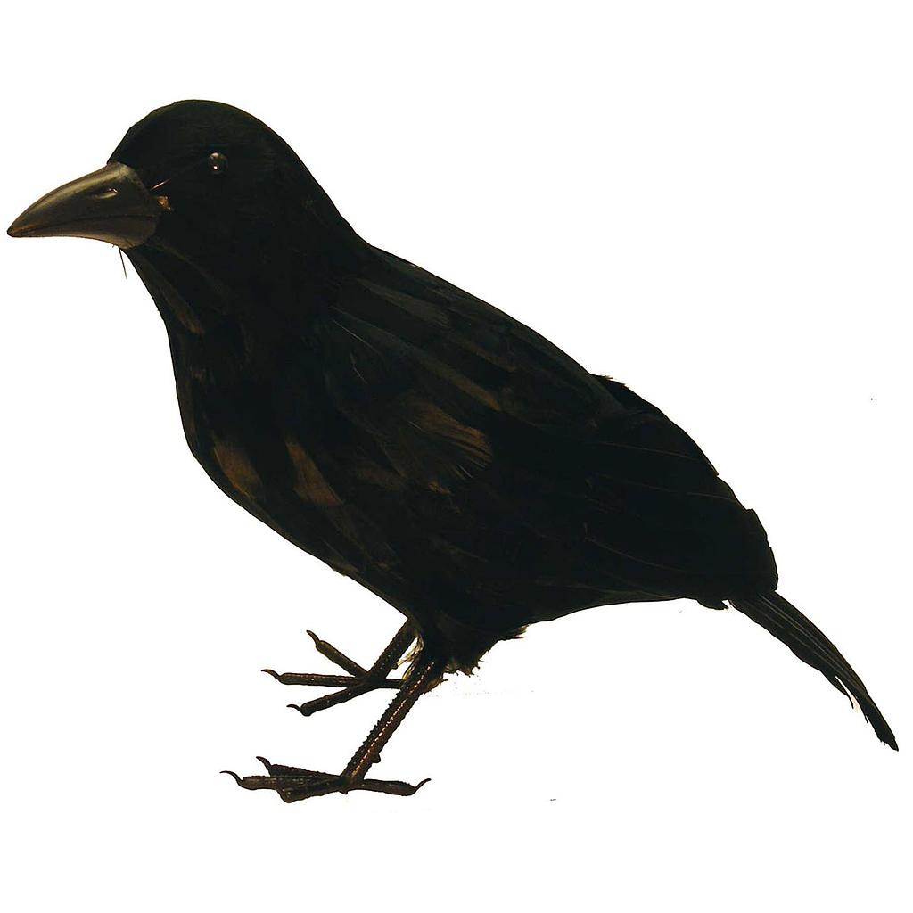 18" CROW WITH FEET