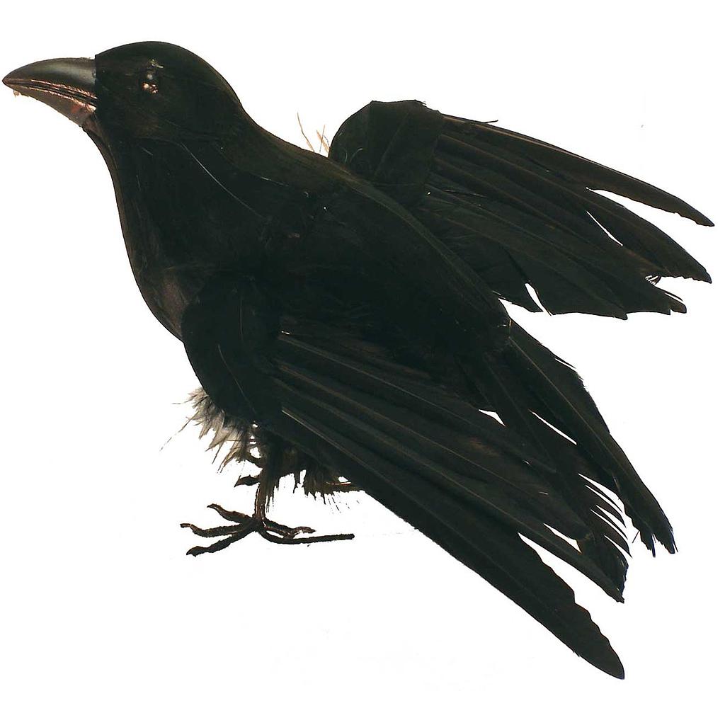 7.5&quot; FLYING BLACK CROW W/FEET  (INDIVIDUAL)