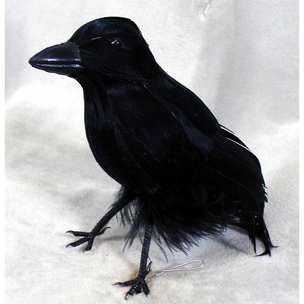 [B66037] 6" CROW STANDING FEATHER