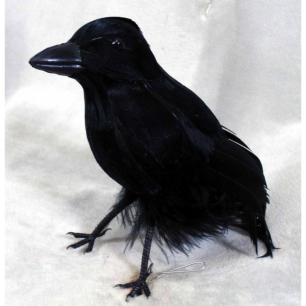 CROW 6" STANDING FEATHER