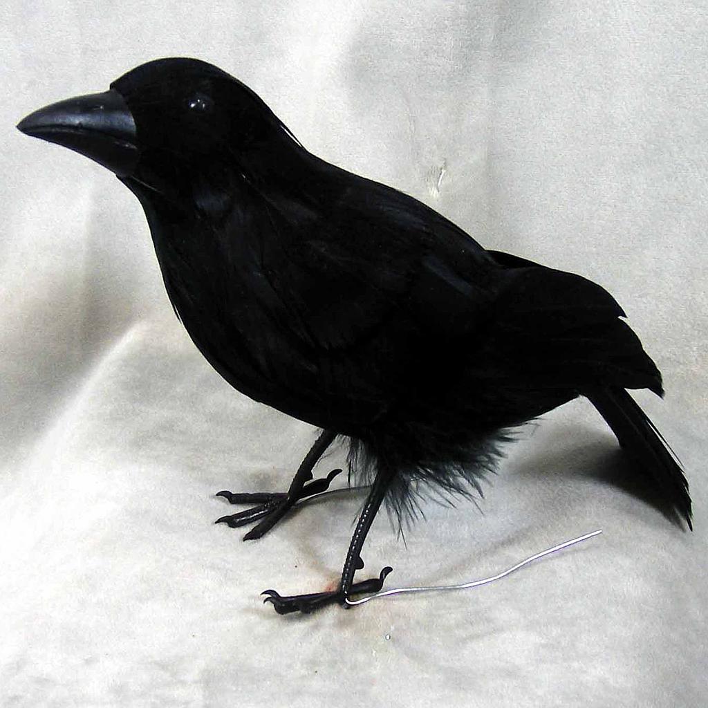 CROW 8.5 STANDING FEATHER