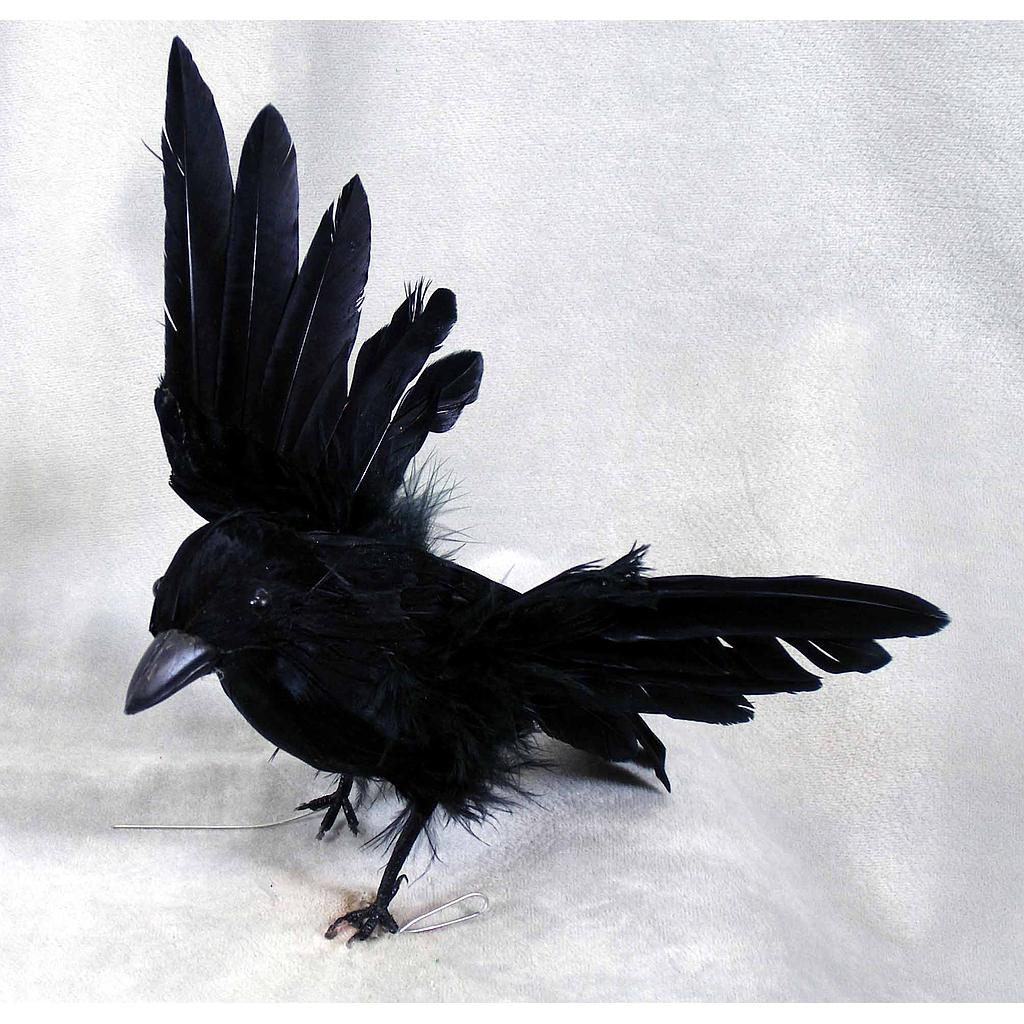 [B66039] 6" CROW FLYING FEATHER WINGS UP