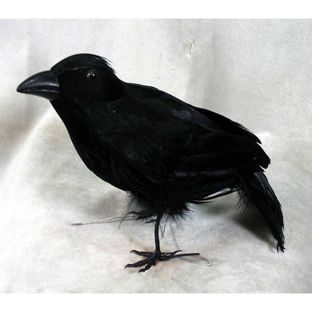 [B66040] 7.5" CROW FEATHER STANDING