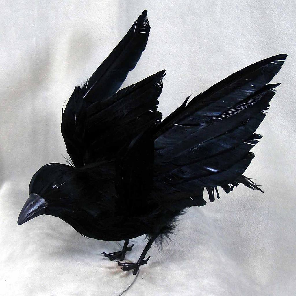 [B66042] 8.5" CROW FLYING FEATHER