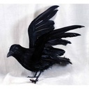 10" CROW FLYING FEATHER